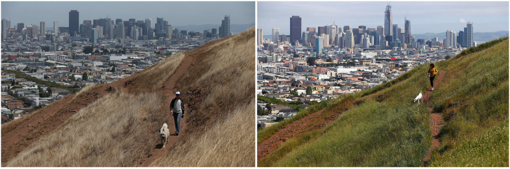 justin-sullivan-composite-01_custom-9d630ee69a2c4a512c5cb526ab6a6db026210de7-s1300-c85.jpg A dog walker on a dried section of Bernal Heights Park in 2014 in San Francisco (left). When Sullivan returned to the hillside this year, he was able to snap a photo of another woman walking her dog in almost the exact same spot.