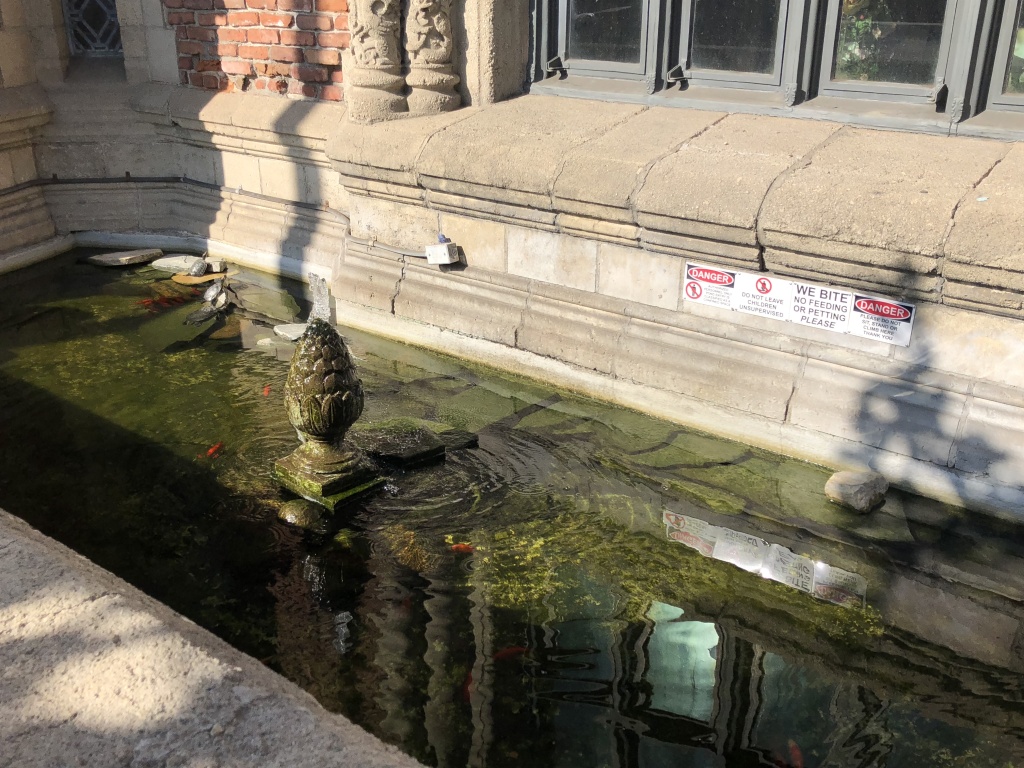 Koi and Turtle pond The small koi pond Schneider came upon during his walk on Beverly.