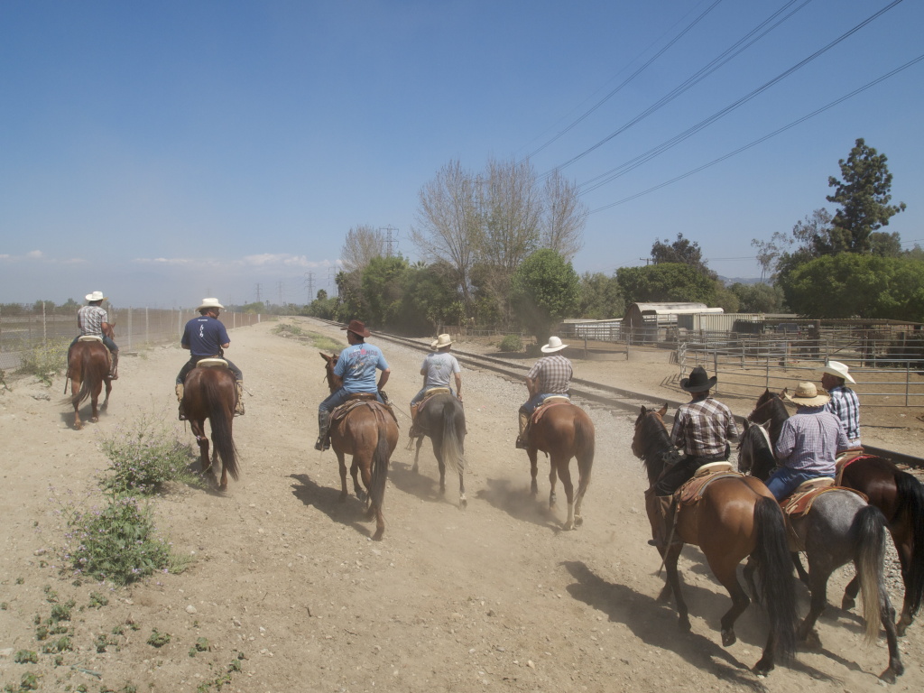 Mexican cowboys hold on to their rural 'vaquero' traditions in urban
