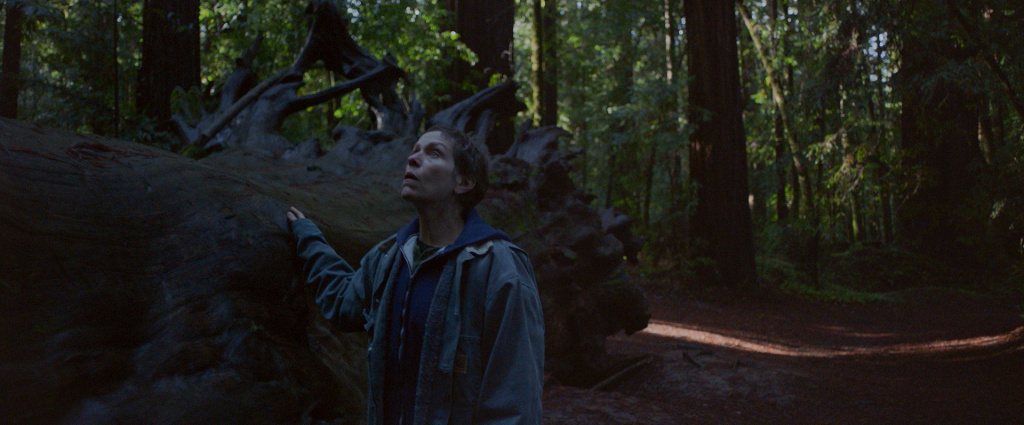 Frances McDormand in the film NOMADLAND Frances McDormand in the film NOMADLAND.