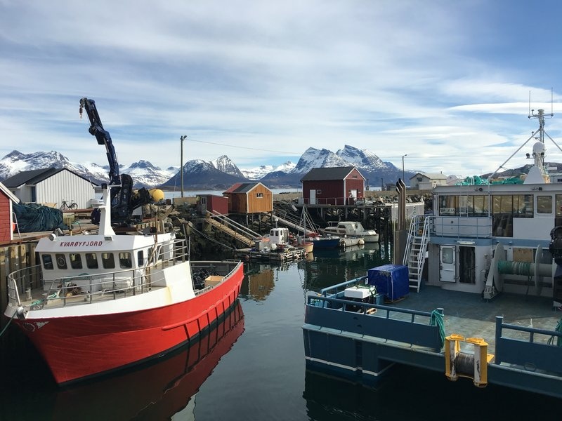 Norway, the country where modern fish farming was invented. Fish farms are becoming more popular as global demand for fish grows. Norway, the country where modern fish farming was invented. Fish farms are becoming more popular as global demand for fish grows.