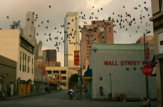 Mercer 14324 Birds fly overhead in the Wall Street area where the homeless have woken up before dawn to dismantle their beds and encampments before businesses open in the downtown Skid Row area of Los Angeles