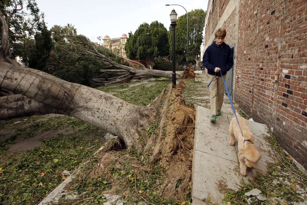 Pasadena Wind Storm