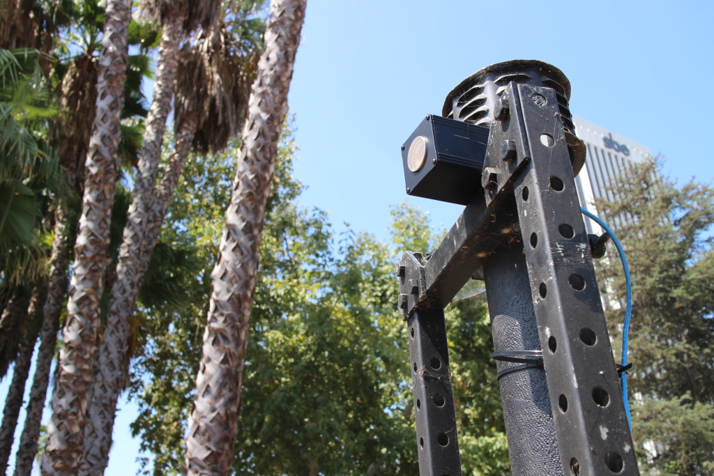 Slideshow Everything you didn't know about bats in Los Angeles 89.3 KPCC