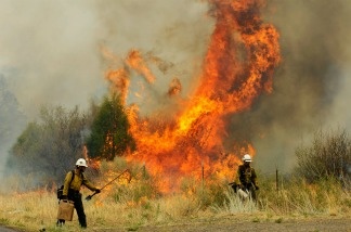 Mercer 19233 Firefighters set a backburn on Highway 191 in an attempt to control a raging wildfire on June 10, 2011 in Nutrioso, Arizona.
