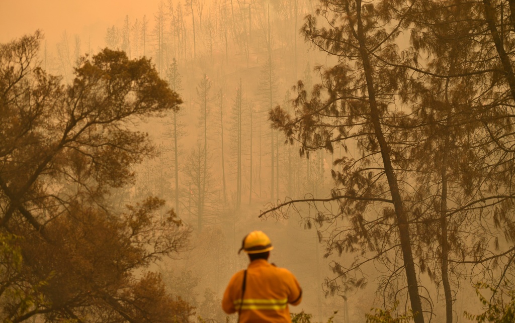 Burnt trees are seen along a hillside during the Carr fire in Redding, California on July 27, 2018. Burnt trees are seen along a hillside during the Carr fire in Redding, California on July 27, 2018. - Two firefighters have died and more than 100 homes have burned as wind-whipped flames tore through the region. (Photo by JOSH EDELSON / AFP) (Photo credit should read JOSH EDELSON/AFP/Getty Images)