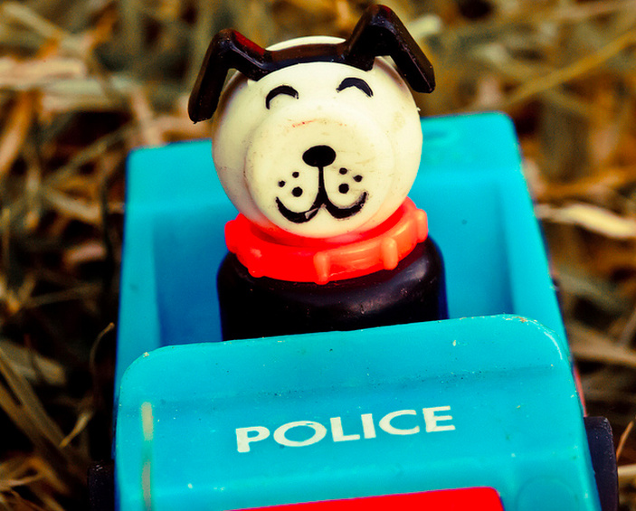 Not an actual police dog.