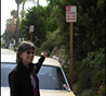 Mercer 8728 Oops. Somebody uprooted this illegally placed